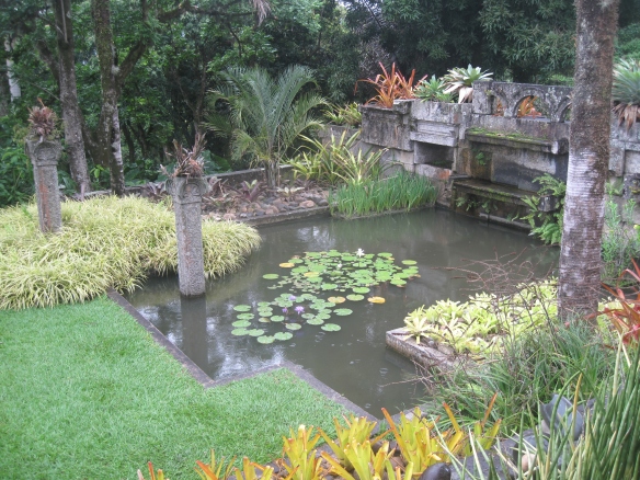 A water garden at Sítio Burle Marx, Rio de Janeiro.
