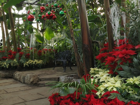 Allan Gardens conservatory getting ready for the Holiday Season