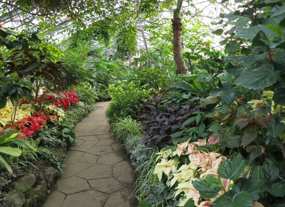A path inside Allan Gardens Conservatory in Toronto