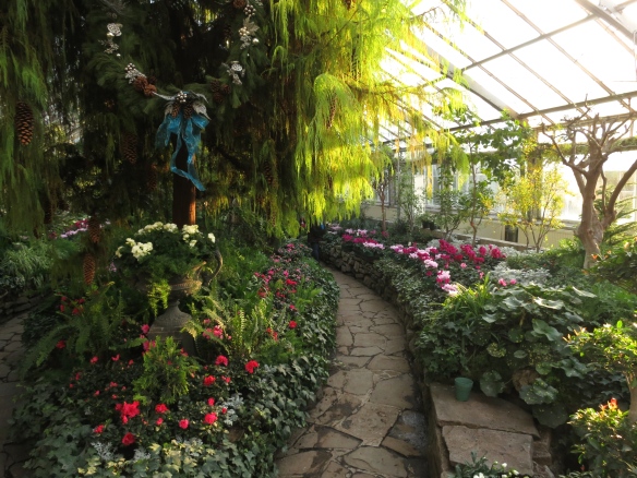 One of the greenhouses at Allan Gardens Conservatory
