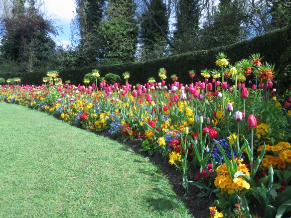 Spring planting in Regents park London