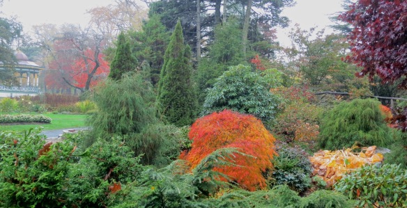 Fall colours at the Halifax Public Gardens