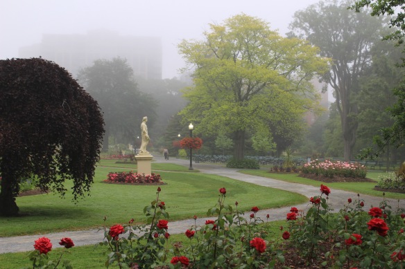 A foggy morning at the Halifax Public Gardens